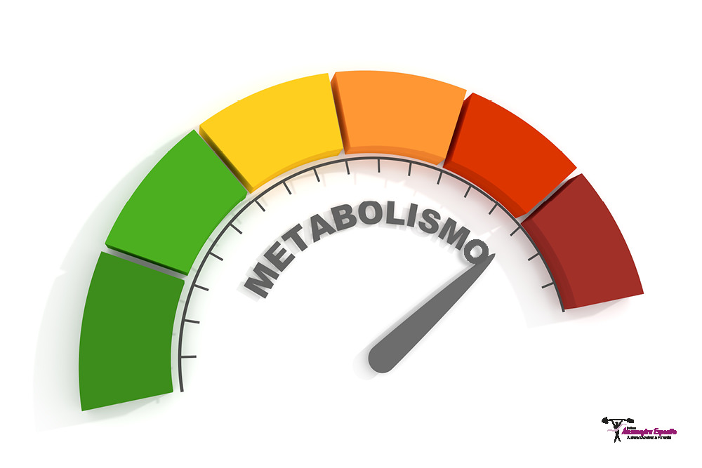 velocizzare-il-metabolismo